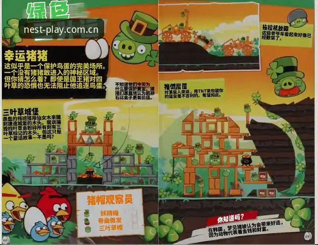 小鸟体育平台中国区驻地品质坐标无法下载？深度评测与实战解决指南